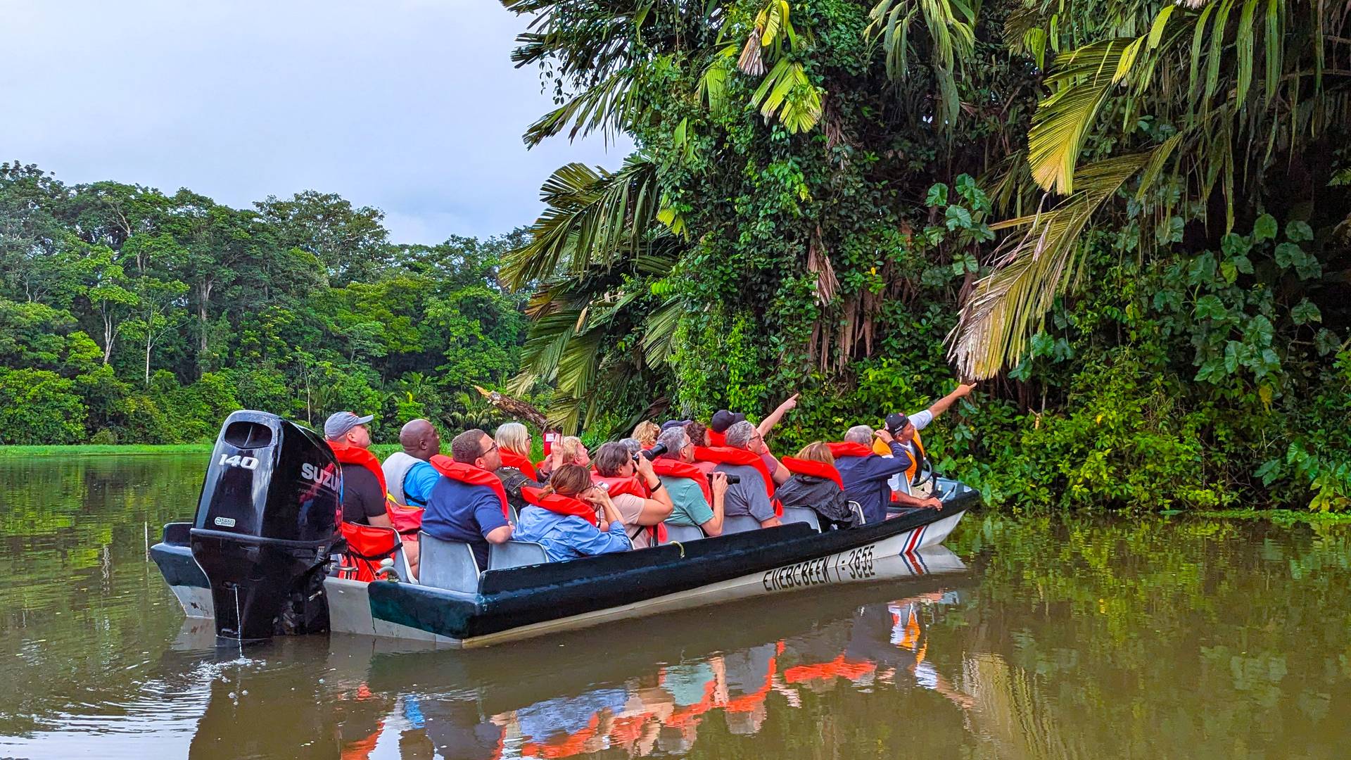 Dieren spotten in Tortuguero